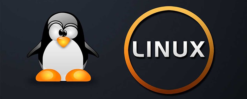 linux 查看当前文件大小 当前文件夹数量